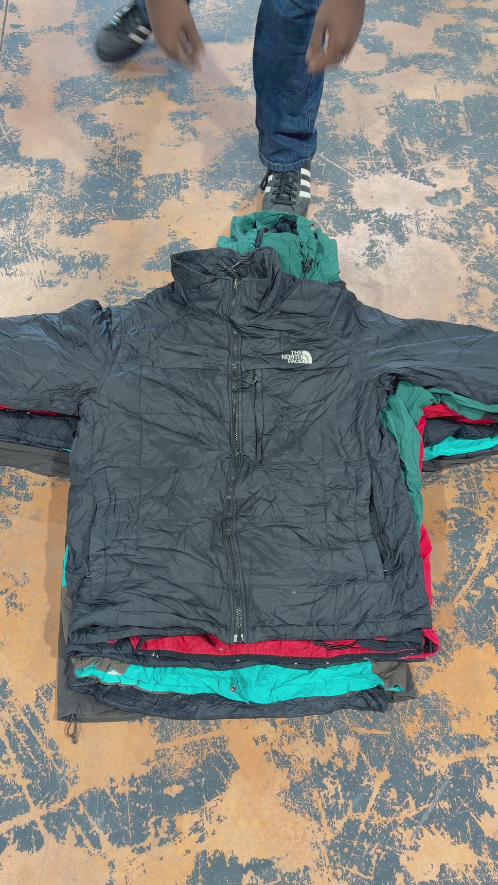 Vestes The North Face