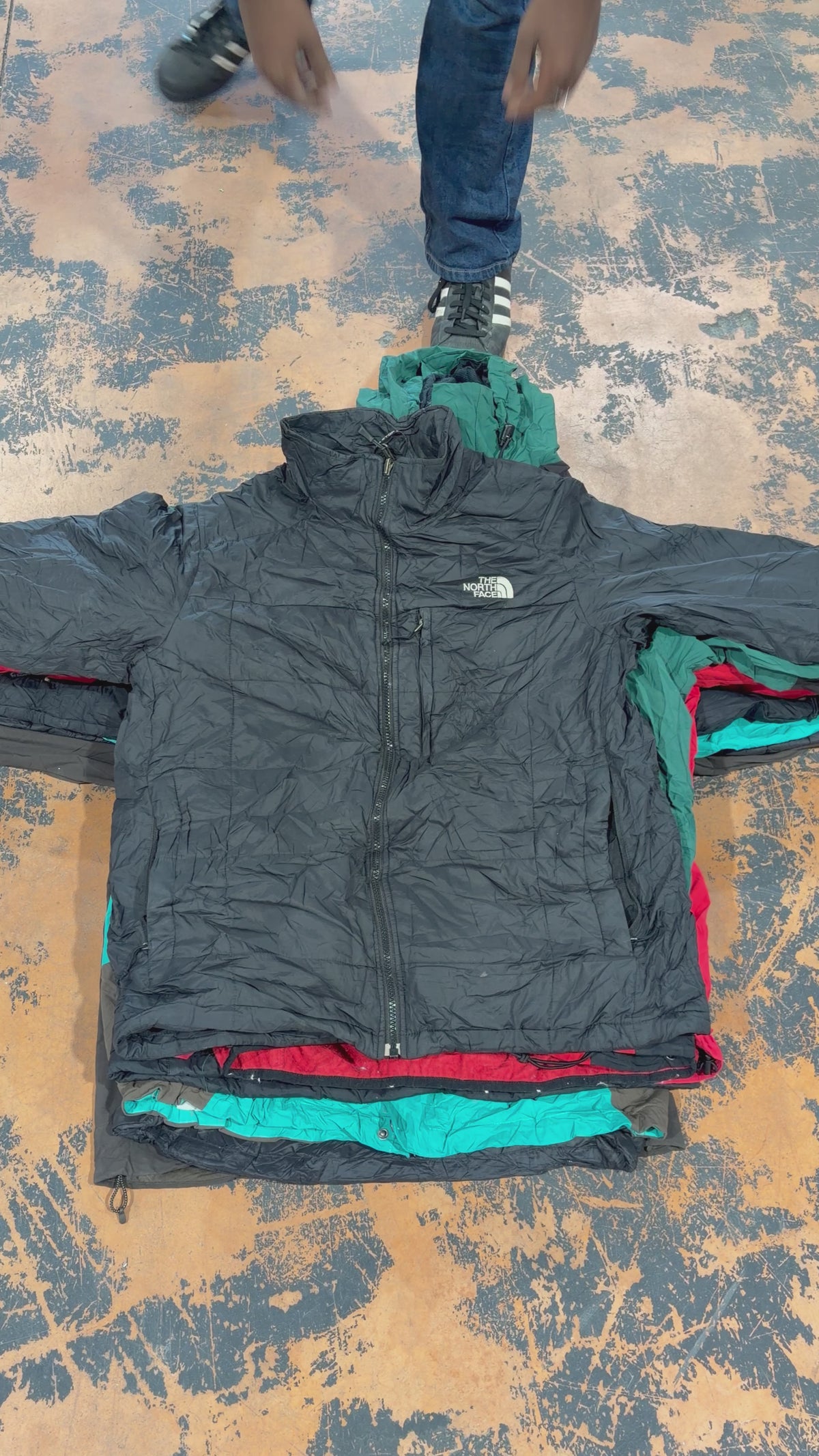 Vestes The North Face